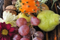 balule-frugter